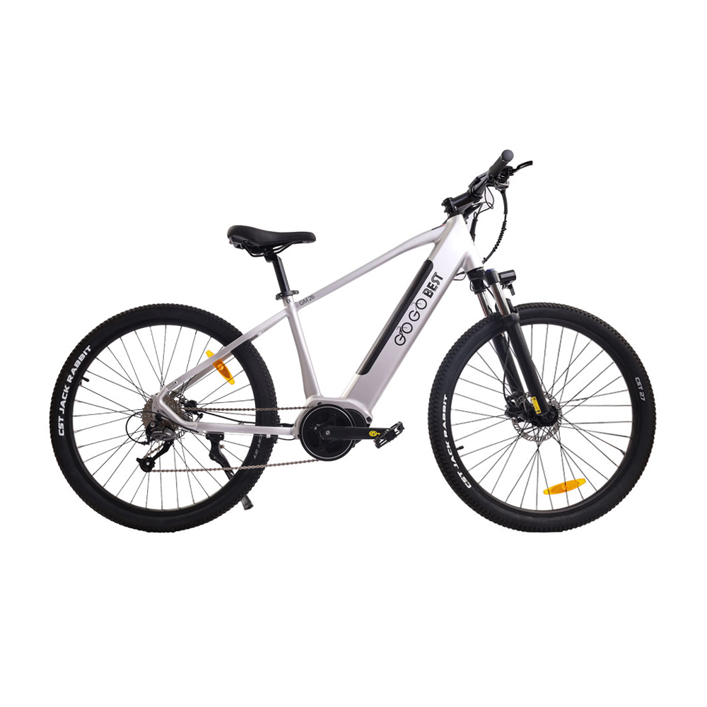 GOGOBEST GM26 City bicycle